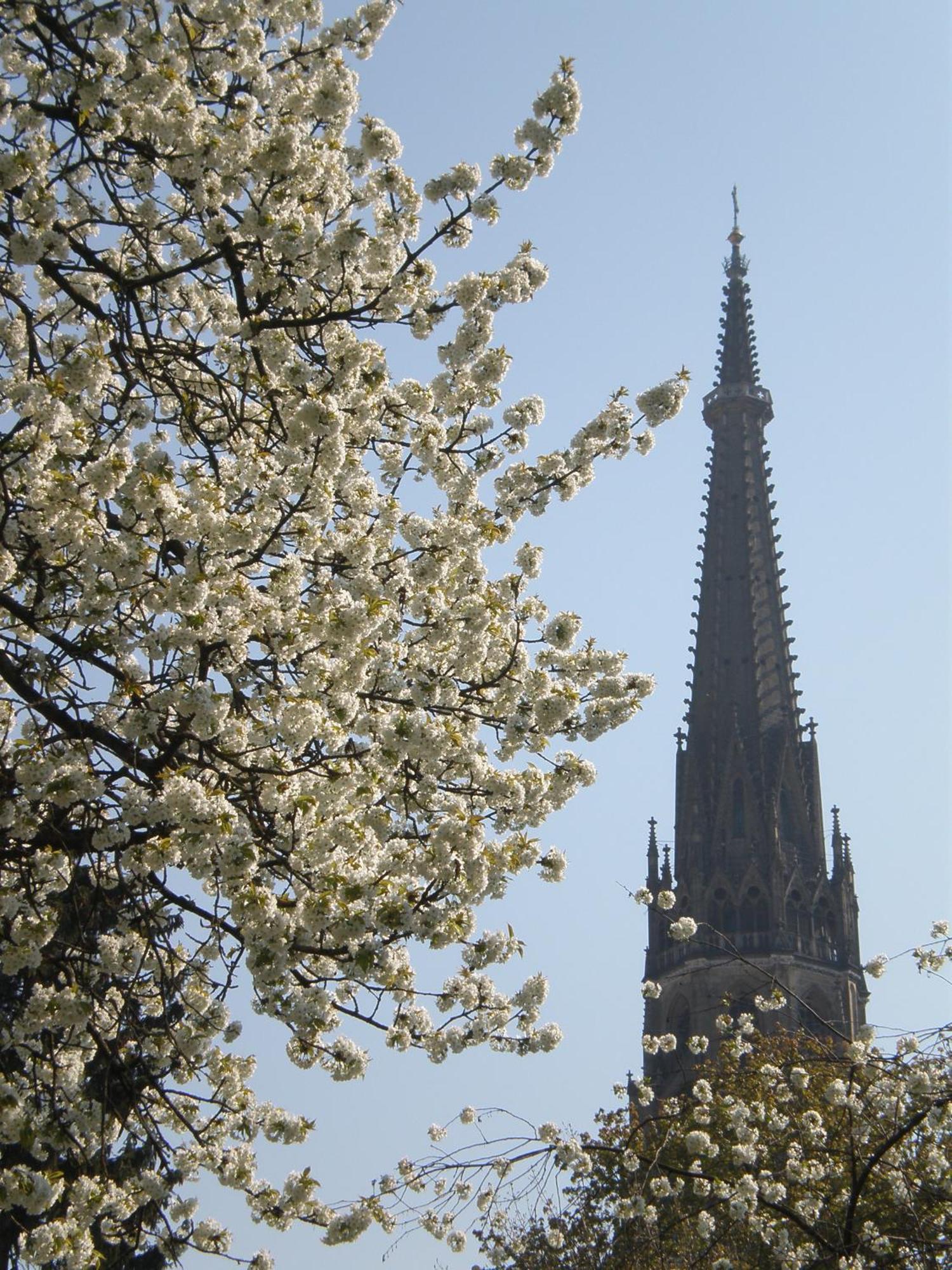 Dom Hotel Линц Экстерьер фото